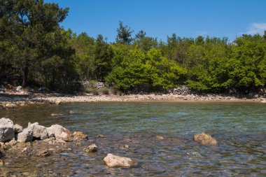 Büyük taşlar kıyısında ve Adriyatik Denizi temiz ve berrak su. Yeşil orman sahil astar. Island Krk, Hırvatistan.