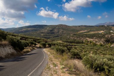 Bir zeytin alanı ve arka planda, Girit, Yunanistan dağlarında bulunan diğer alanları görüntüleyin. Yol alanlar arasında. Güneşli bir gün, mavi gökyüzü beyaz bulutlar ile.