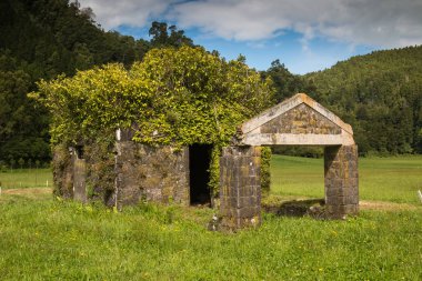 Çayır terk edilmiş evde. Evin çatısından büyüyen ağaçlar. Taze doğa ve bir tepenin arka planda çok ağaç. Bulutlu gökyüzü mavi. Sao Miguel, Azor Adaları, Portekiz.