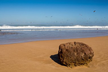 Bir rock ile altın kumlu plaj. Birçok martılar bir uçuş. Yabani su dalgaları ile Atlas Okyanusu. Açık mavi gökyüzü. Ufuk içinde belgili tanımlık geçmiş. Beddouza beach, Fas.