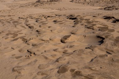 Kumul ve ayrıntılarını altın rengi. Essaouira, Fas Kuzey Beach'de.