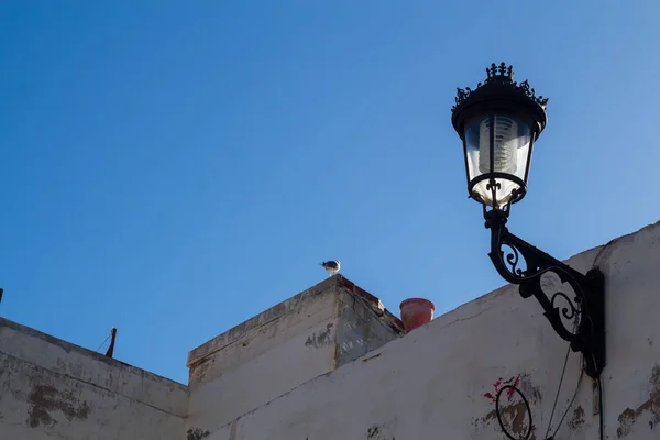 Clásica Forma Farola Linterna Como Patrimonio Europeo Edificio Safi Marruecos — Foto de Stock