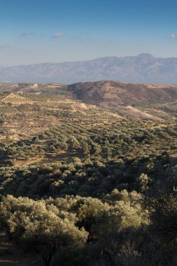 Manzara tarımsal Merkezi Girit