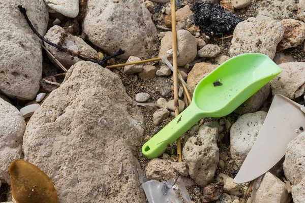 Ekologi: beach upptäckter - grön scoop — Stockfoto