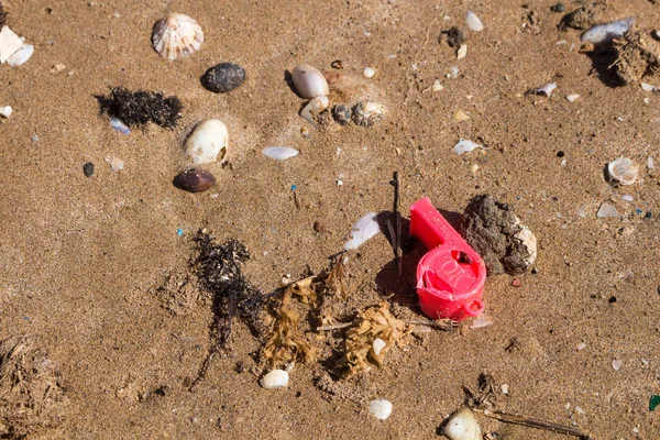 Ecologia: descobertas de praia - apito vermelho — Fotografia de Stock