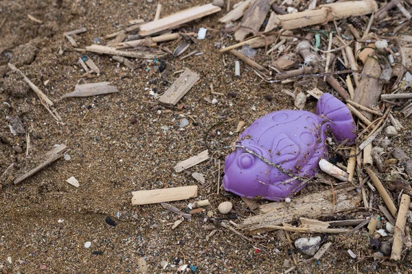 Ekologi: strand upptäckter-violett plast fisk — Stockfoto