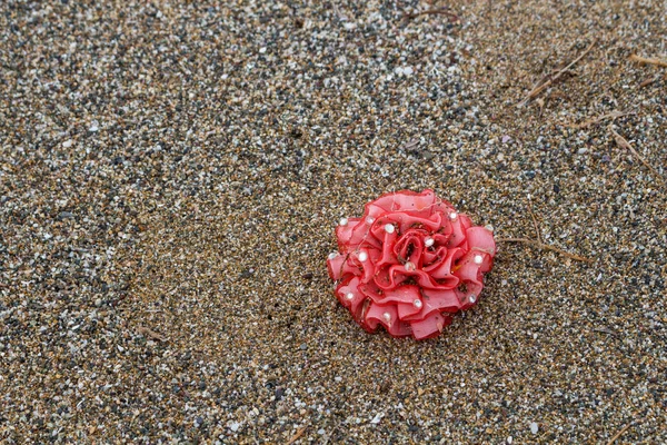 生态学: 海滩发现-弹性发带 — 图库照片