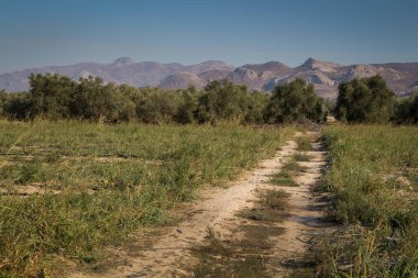 Çayır yolu ve dağlar