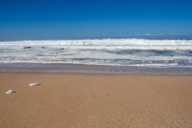 Atlantik Okyanusu 'nun kumlu plajı, Fas