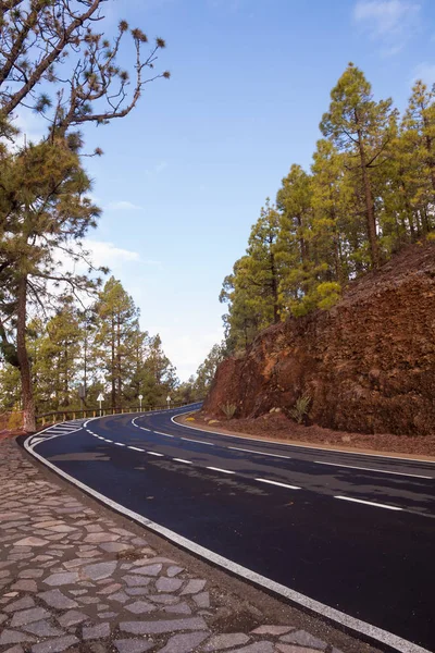 Foresta lungo la strada per Teide, Tenerife — Foto Stock