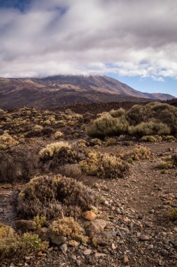 Pico del Teide, Tenerife, İspanya