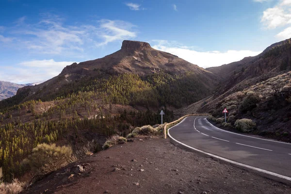 Carretera y campo, Tenerife, España —  Fotos de Stock