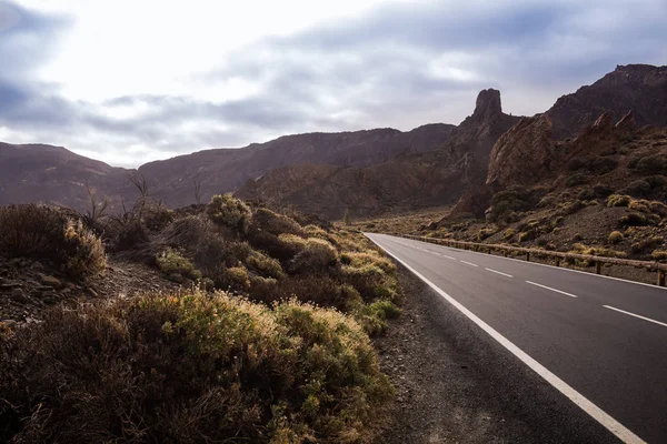 Carretera y campo, Tenerife, España — Foto de Stock