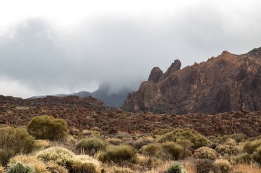 Teide Ulusal Parkı'nda volkan kayalar, İspanya
