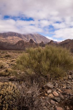 Pico del Teide, Tenerife, İspanya