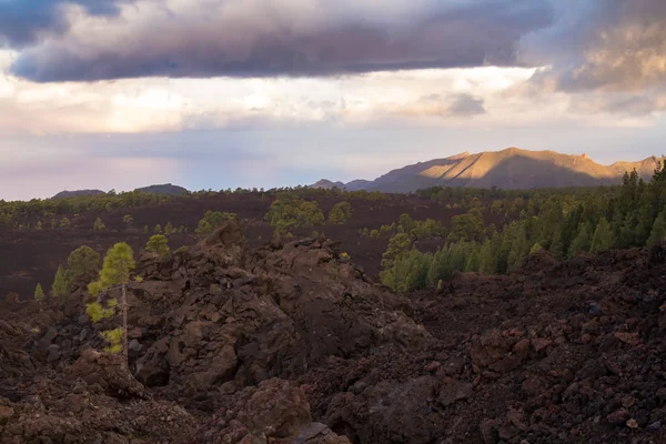 Les lemování silnice do Teide, Tenerife — Stock fotografie