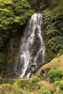 Şelale doğal parkta, Nordeste, Sao Miguel