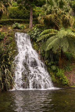 Botanik bahçesinde şelale, Nordeste