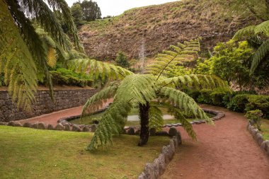 Şelaleli park, Nordeste, Sao Miguel