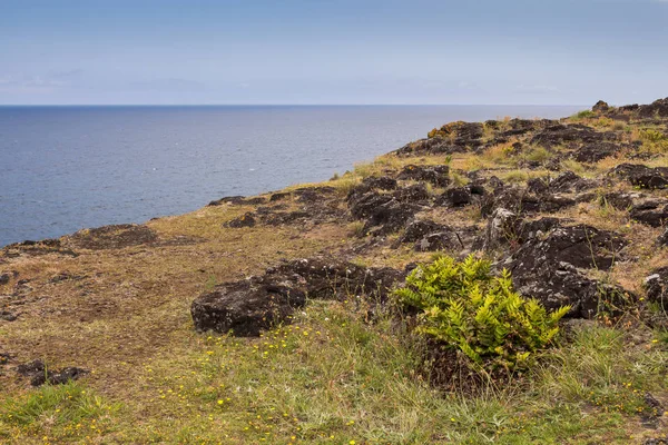 Orilla en el norte de Sao Miguel, Azores —  Fotos de Stock