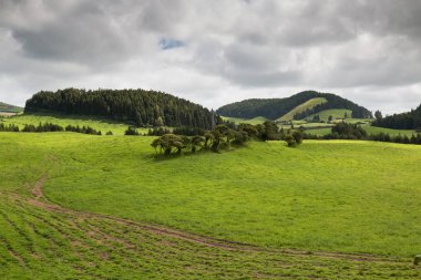 Sao Miguel, Azores'te fileds ve çayırlar