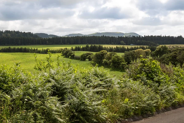 Archivos y prados en Sao Miguel, Azores —  Fotos de Stock