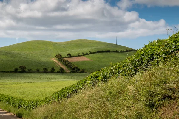 Fileds und Wiesen bei sao miguel, Azoren — Stockfoto