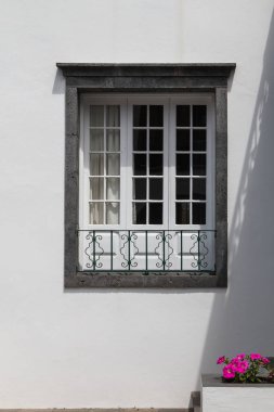 Büyük bir pencere ve bir bitki ile Beyaz saray