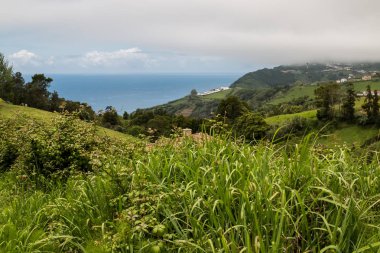 Doğa ve Atlantik Okyanusu, Sao Miguel, Azores