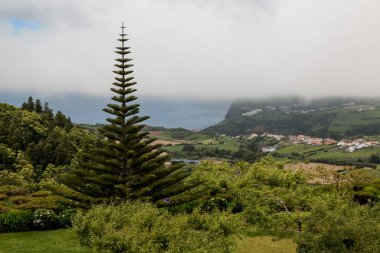 Doğa ve Atlantik Okyanusu, Sao Miguel, Azores