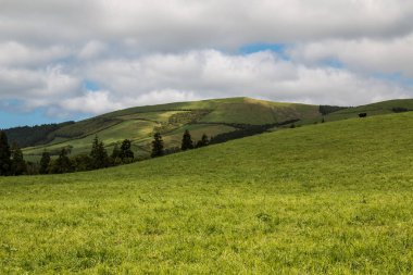 Sao Miguel, Azores'te fileds ve çayırlar