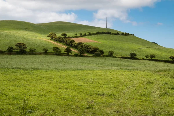 Fileds und Wiesen bei sao miguel, Azoren — Stockfoto