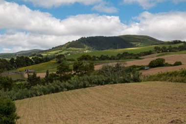 Sao Miguel, Azores'teki tarlalar ve çayırlar