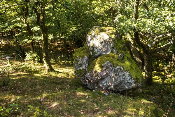 숲속의 큰 바위, 슬로바키아 — 스톡 사진