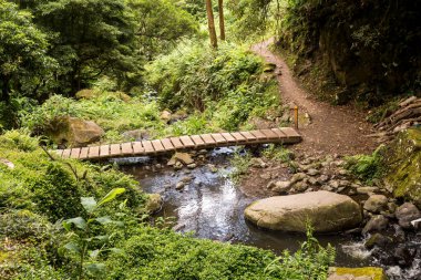 Bir nehir üzerinde ahşap köprü, Sao Miguel, Azores