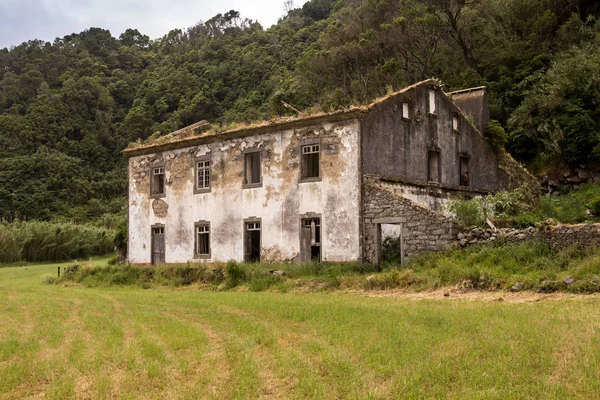 Abandoned house, meadow and forest — Stock Photo, Image