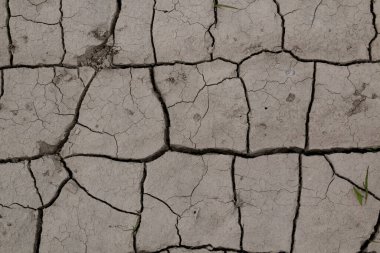 Sıcak yaz boyunca tarladaki kuru toprağı çatlatmış ve soyut bir yapı oluşturmuş. Slovakya 'nın batısı.