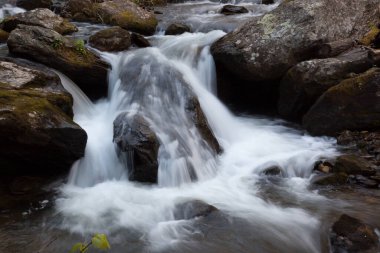 Dağ deresi kayaların etrafında çağlayarak akıyor.