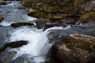 Kayalar arasında çağlayan akarsu