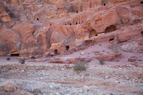 Ruïnes Verloren Stad Petra Jordanië — Stockfoto