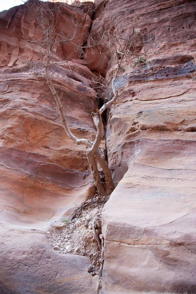 Abstraksi Dalam Batu Dari Petra Yordania — Stok Foto