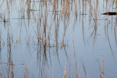 Çimen ve suyla soyutlama