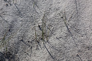 Deniz kıyısındaki kumların soyutlanması