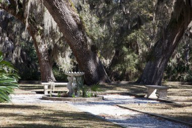 İspanyol yosunlu ağaçların altında piknik masası