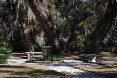 İspanyol yosunlu ağaçların altında piknik masası