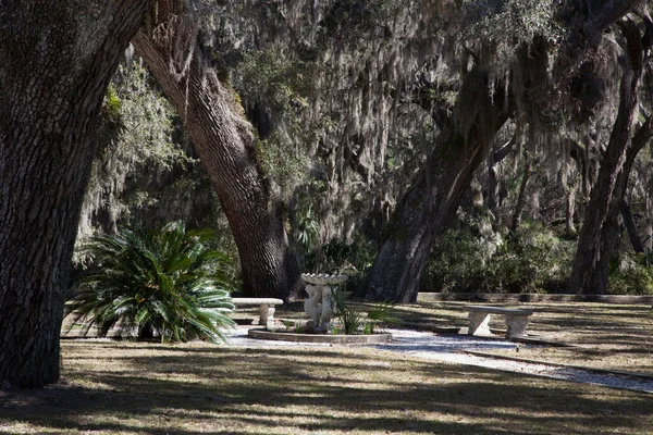 Stolik Piknikowy Pod Drzewami Hiszpańskim Meczem — Zdjęcie stockowe