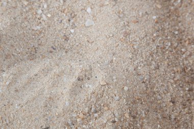 Deniz kıyısından kum