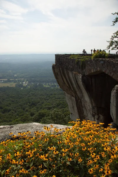 Amantes Saltam Lookout Mountain — Fotografia de Stock