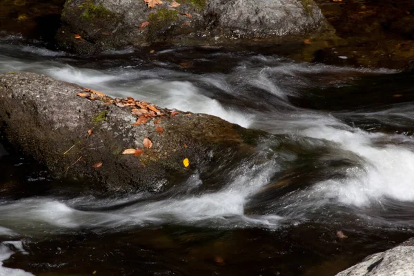 Dökülen yapraklarla çağlayan dere