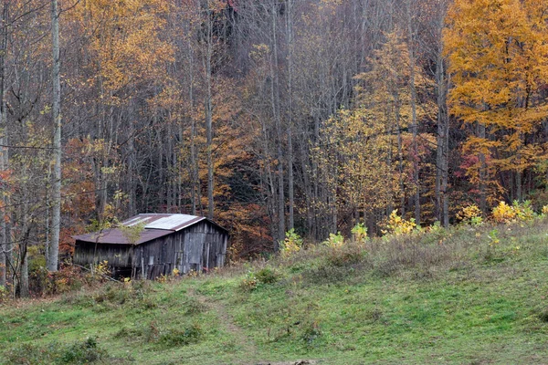 Stodoła Zielonym Polu Jesienią Roku — Zdjęcie stockowe